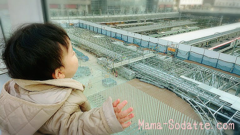 新宿駅で正面から線路や電車を見る息子